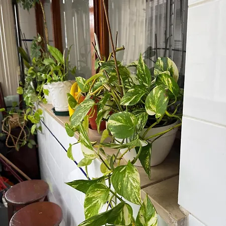 Apartamento Family & Pet Friendly & Fast Wi-fi Figueira da Foz