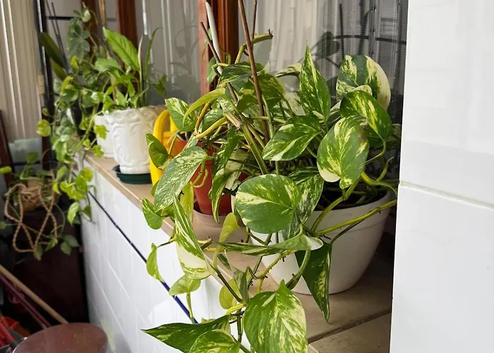 Daire Family & Pet Friendly & Fast Wi-fi Figueira da Foz